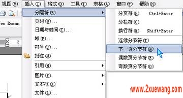 同一篇文档中插入相同页码的技巧