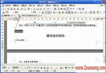 妙用WPS 轻松实现跨文档应用格式刷